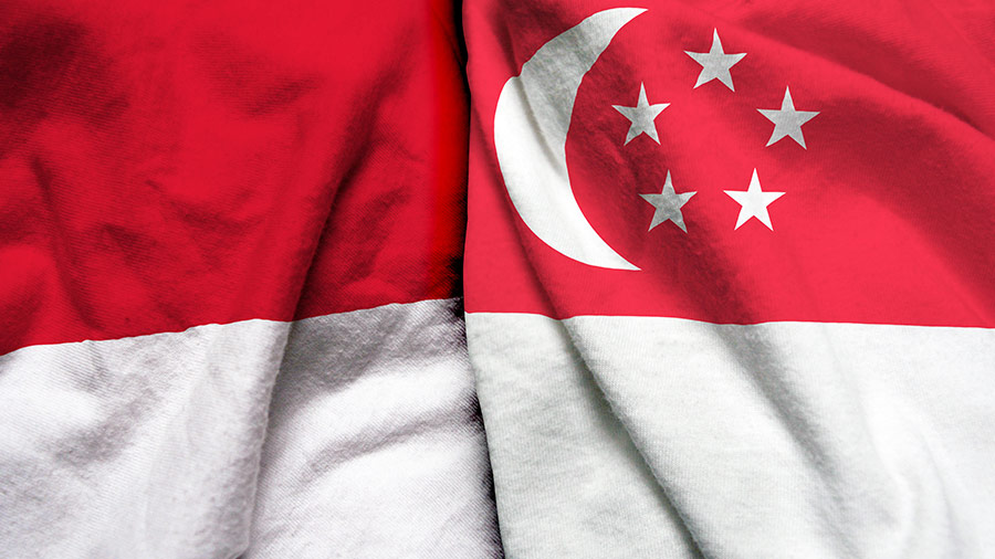 perbedaan pajak indonesia dengan singapura
