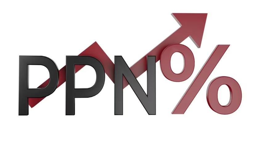 PPN Adalah?